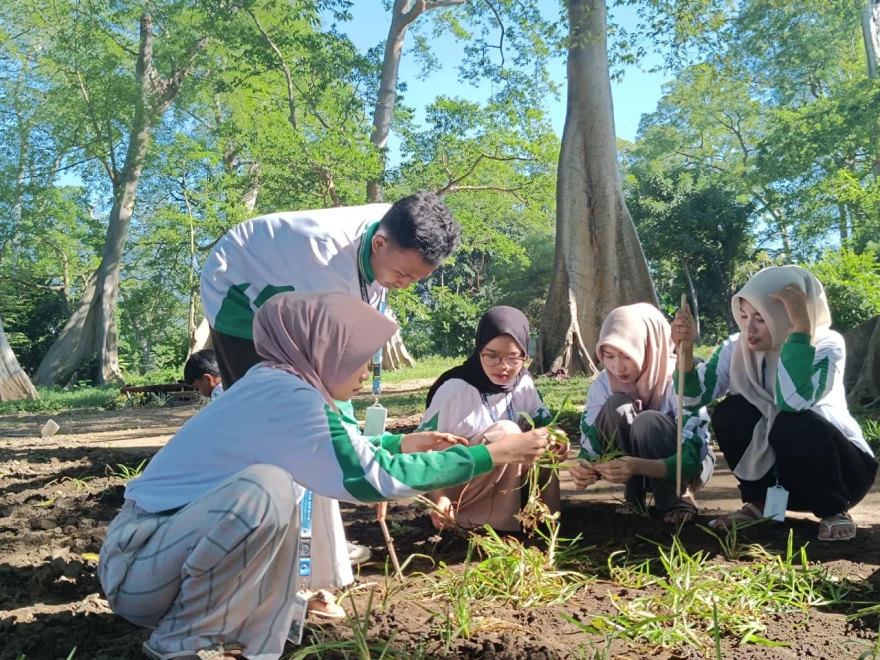 Menjaga Keasrian Wisata Pohon Purbalian Melalui Program Penghijauan Mahasiswa KKN Universitas Hamzanwadi